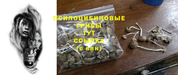 стафф Горнозаводск