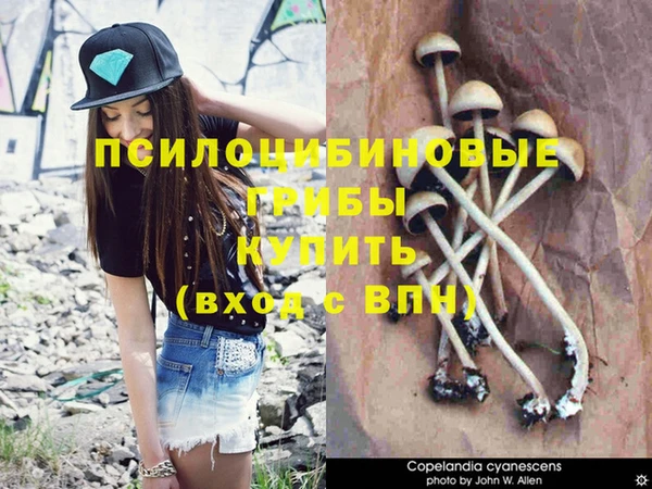 гашишное масло Горняк