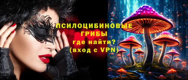 стафф Горнозаводск