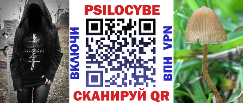 Галлюциногенные грибы Psilocybine cubensis  продажа наркотиков  Подольск 